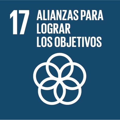 17. Alianzas para lograr los objetivos